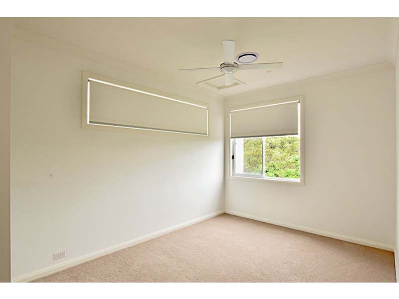 7 341 Macarthur Avenue, Hamilton QLD 4007