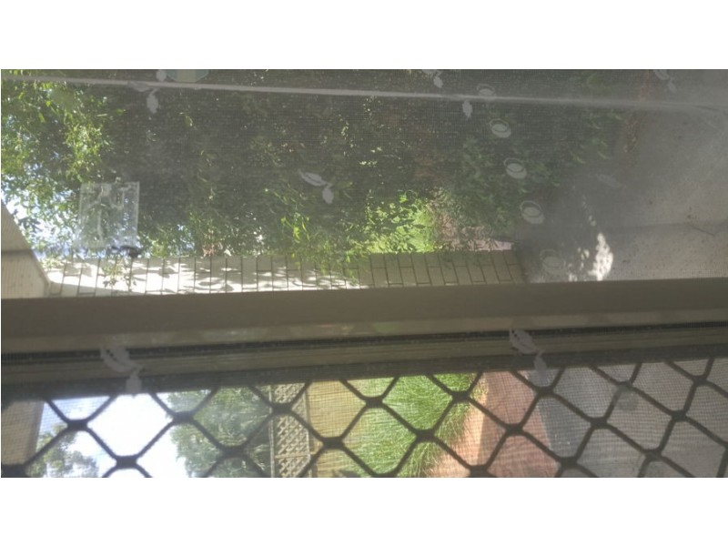 10 Alcheringa Place, Robertson QLD 4109