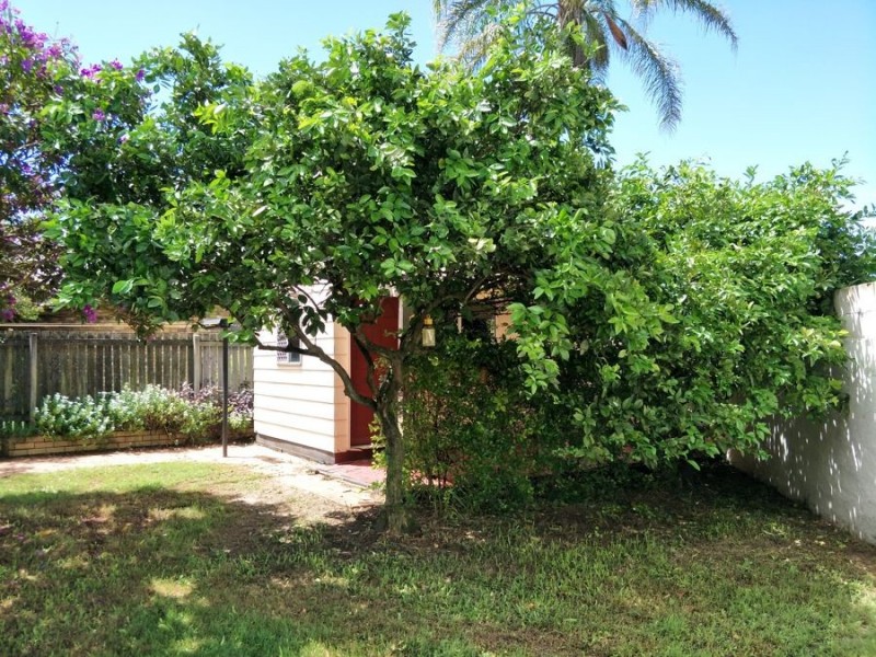 5 ERNA CT, Sunnybank QLD 4109