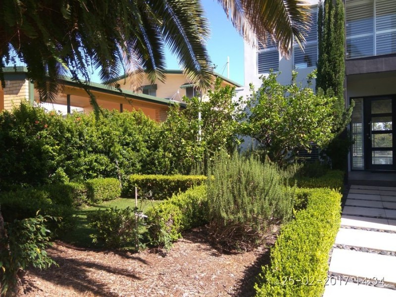 219 STANHILL DRIVE, Surfers Paradise QLD 4217