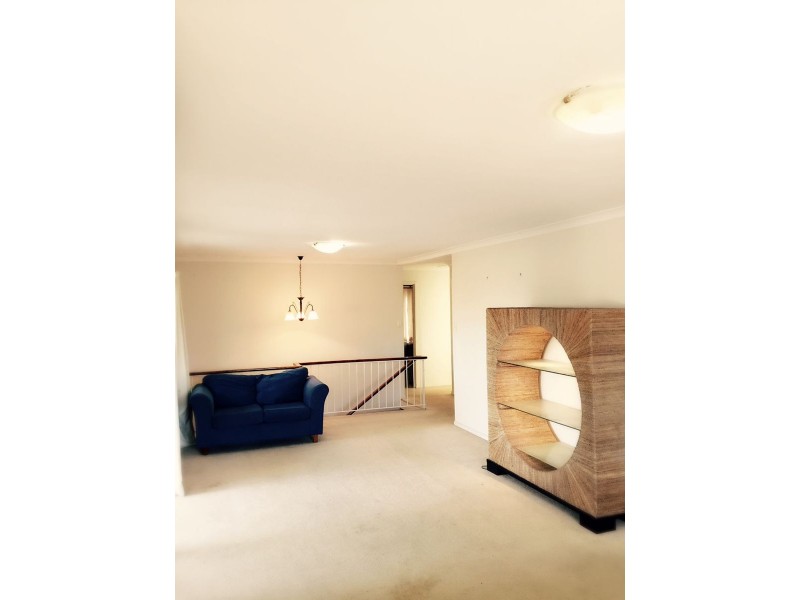 5 Ventura Street, Upper Mount Gravatt QLD 4122