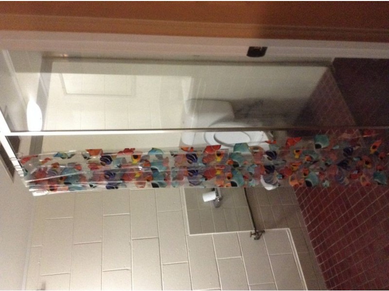 335/24 Wirraway Street, Alexandra Headland QLD 4572