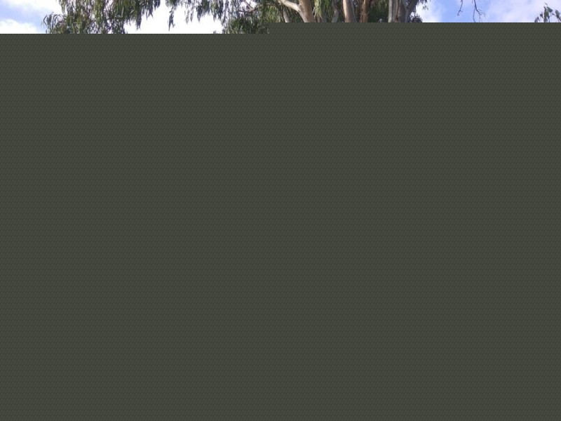 10 Triantha St, Algester QLD 4115
