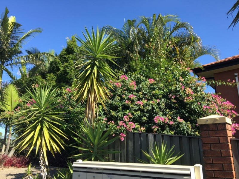 37 Landseer Street, Sunnybank Hills QLD 4109