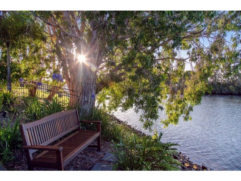 1123 Beechwood Drive, Hope Island QLD 4212