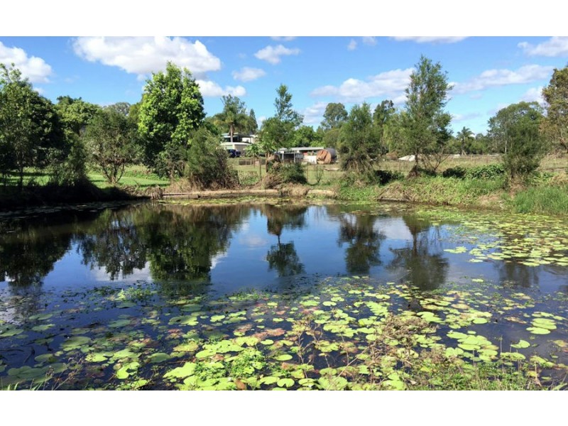 51 DANYENAH STREET, Loganholme QLD 4129