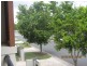 23 Greenway Cct, Mount Ommaney QLD 4074