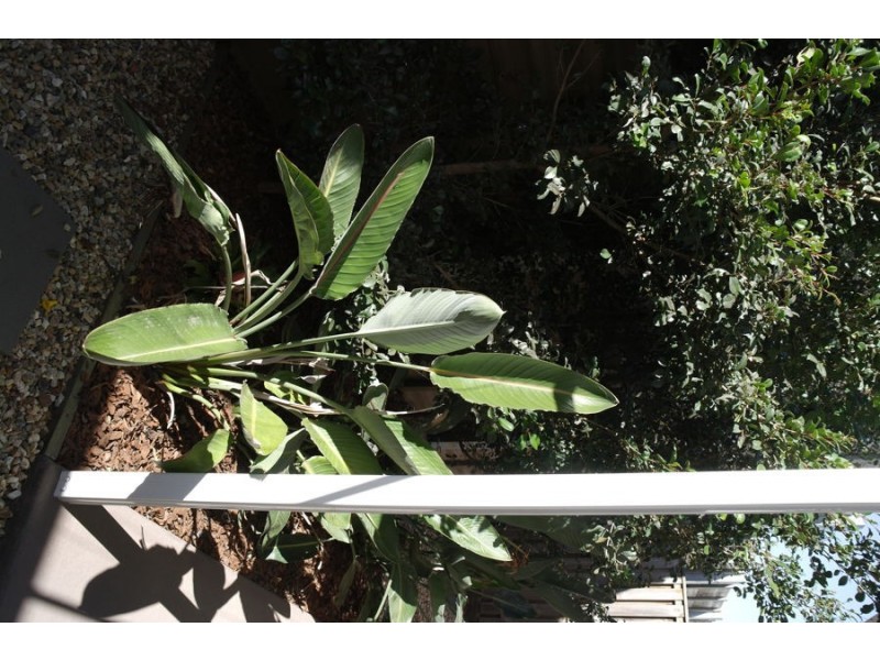 11/89 Northquarter Place, Murrumba Downs QLD 4503