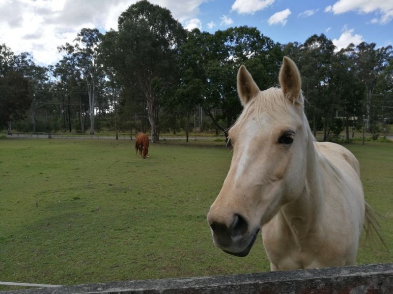 136-144 Ison Road, Greenbank QLD 4124