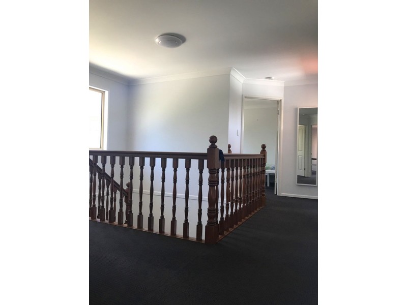 18 Bluegum Street, Macgregor QLD 4109