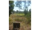 31 Old Gympie Road, Owanyilla QLD 4650