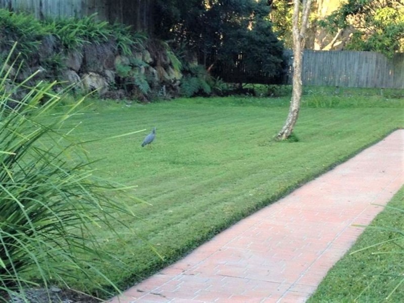 29/128 Queens Rd, Everton Park QLD 4053