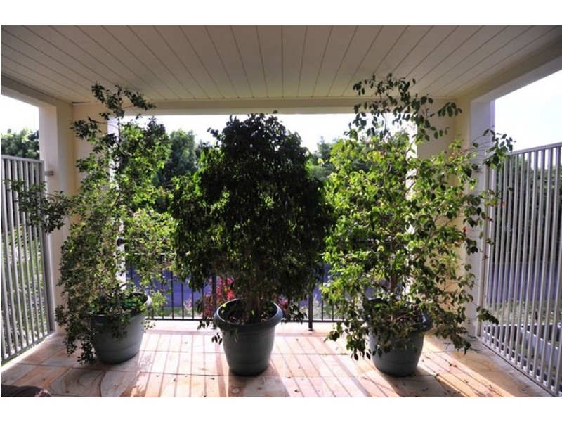 1083 1 the cove crescent, Carrara QLD 4211