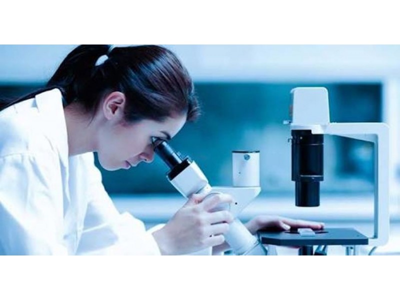 South Brisbane QLD 4101