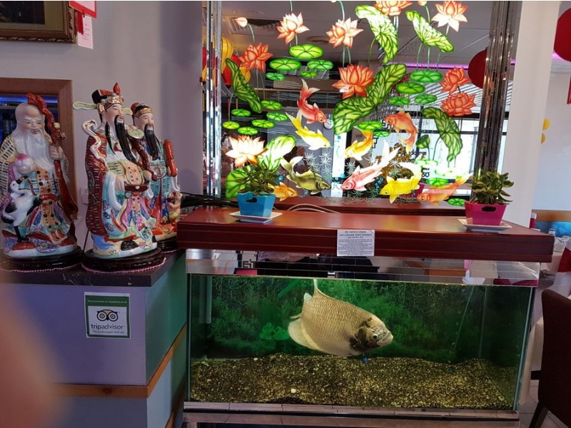 Shop 5/ 125 Old Cleveland Road, Capalaba QLD 4157