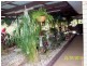 Park Ridge QLD 4125