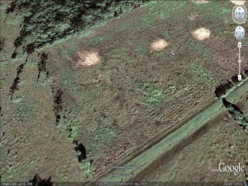 Logan Reserve QLD 4133