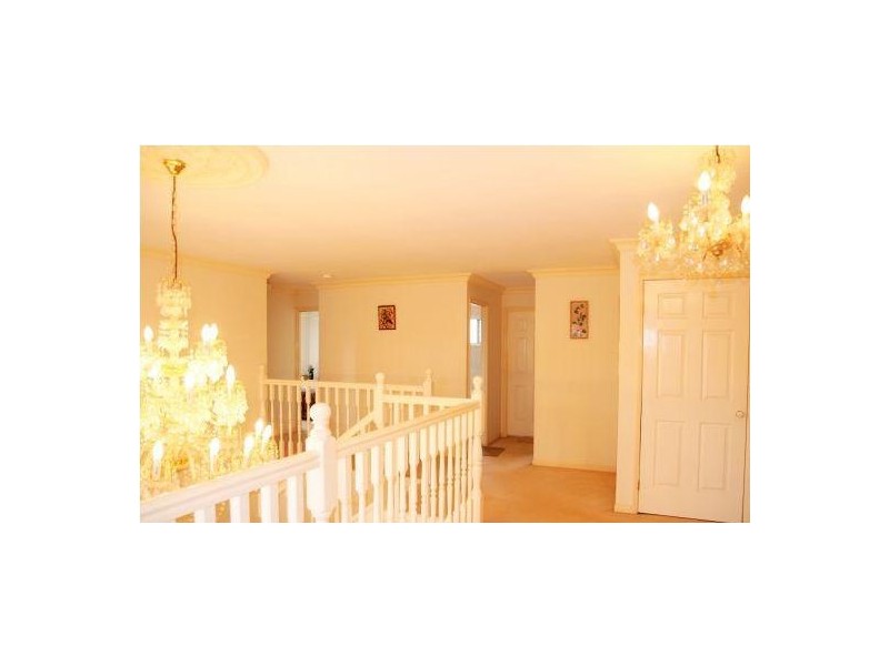 8 Alios Close, Sunnybank Hills QLD 4109