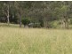 161 & 181 Bahrs Scrub Road, Bahrs Scrub QLD 4207