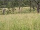 161 + 181 Bahrs Scrub Road, Bahrs Scrub QLD 4207