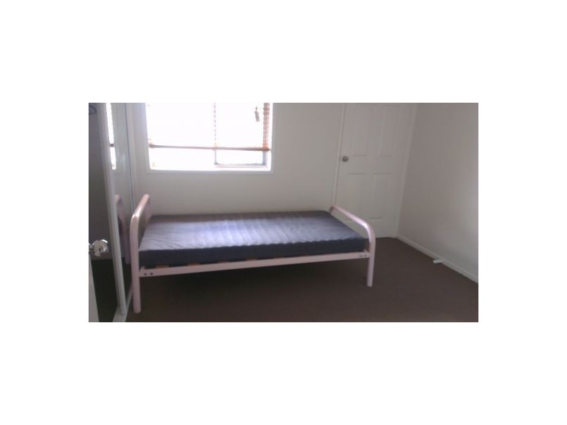 37 Wynne Street, Sunnybank Hills QLD 4109