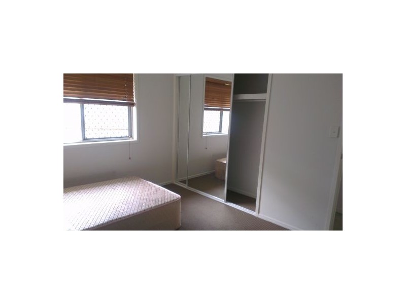 37 Wynne Street, Sunnybank Hills QLD 4109