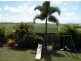 57 James Muscat Dr, Walkerston QLD 4751