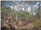 Lot 63 Tanderra Drive, South Kolan QLD 4670