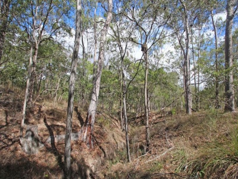 Lot 63 Tanderra Drive, South Kolan QLD 4670