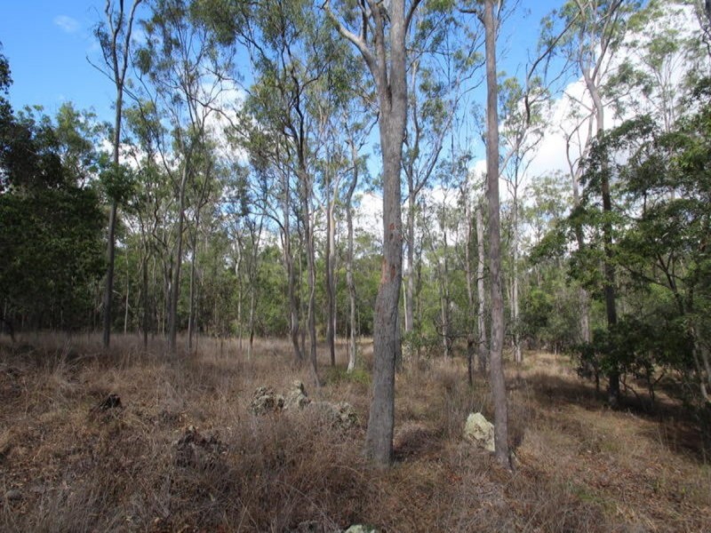 Lot 63 Tanderra Drive, South Kolan QLD 4670