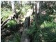 112 Stevens Road, Bucca QLD 4670