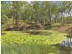 467 Horsecamp Road, Horse Camp QLD 4671
