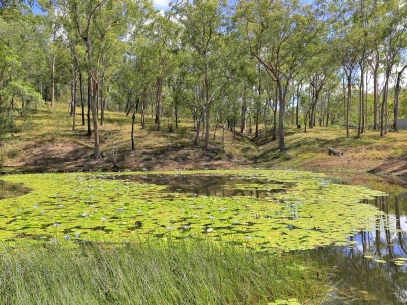 467 Horsecamp Road, Horse Camp QLD 4671