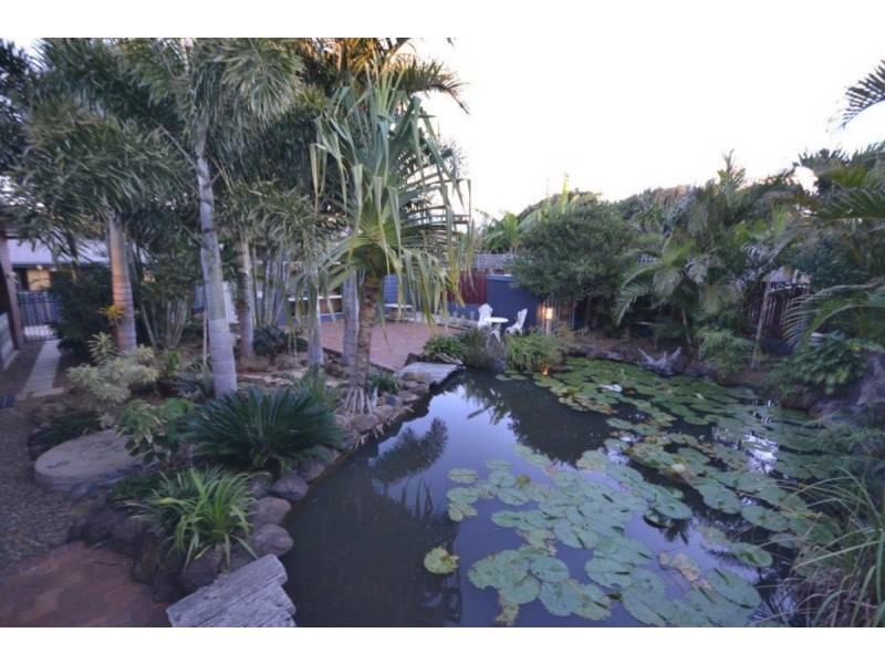 4 Coolanblue Avenue, Innes Park QLD 4670