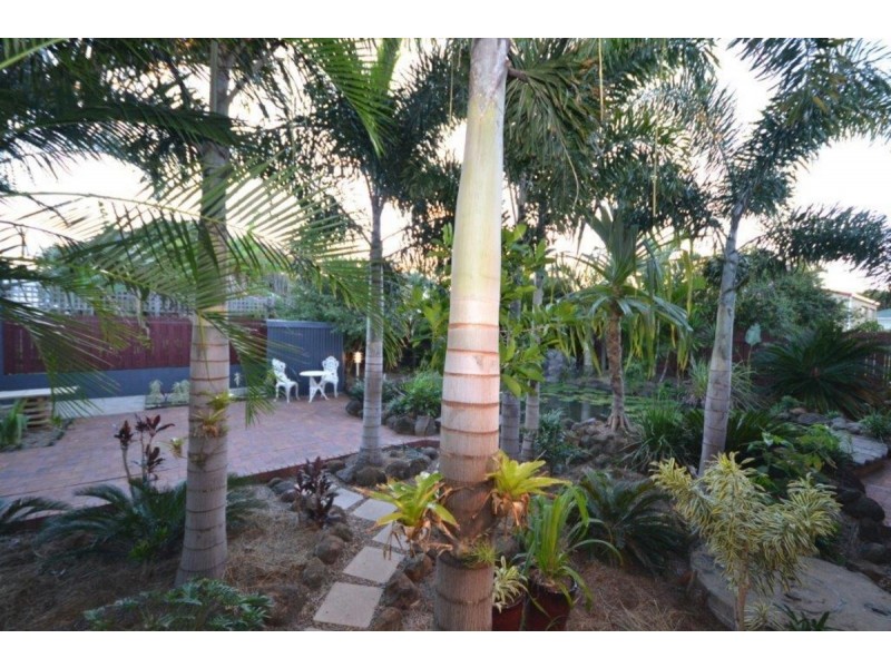 4 Coolanblue Avenue, Innes Park QLD 4670
