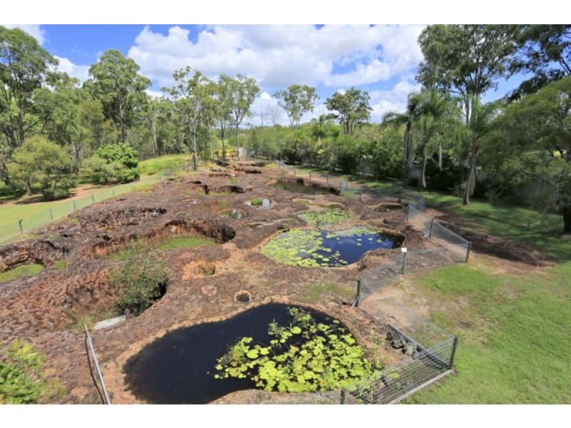 13-15 Lines Road, South Kolan QLD 4670