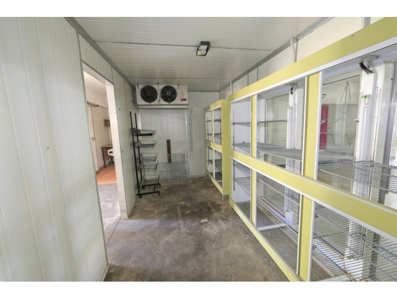 62 Takalvan Street, Svensson Heights QLD 4670