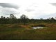 1298 Monduran Road, Waterloo QLD 4673
