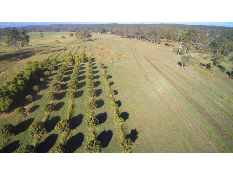 Lot 11 River Road, South Kolan QLD 4670
