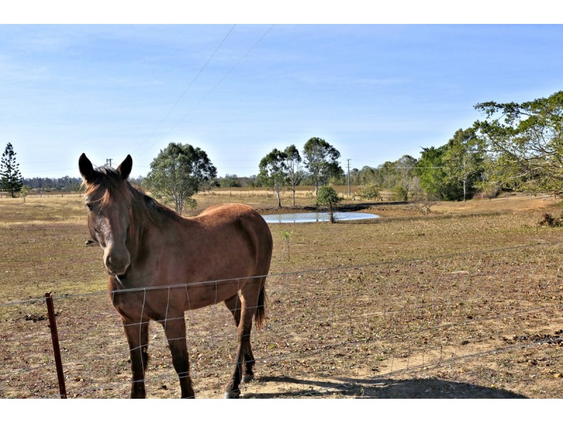 315 Walkers Road, South Bingera QLD 4670