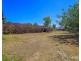 117 Targo Street, Bundaberg South QLD 4670