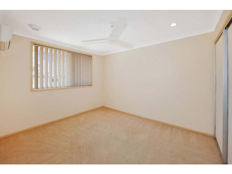 1 Gammie Court, Avenell Heights QLD 4670