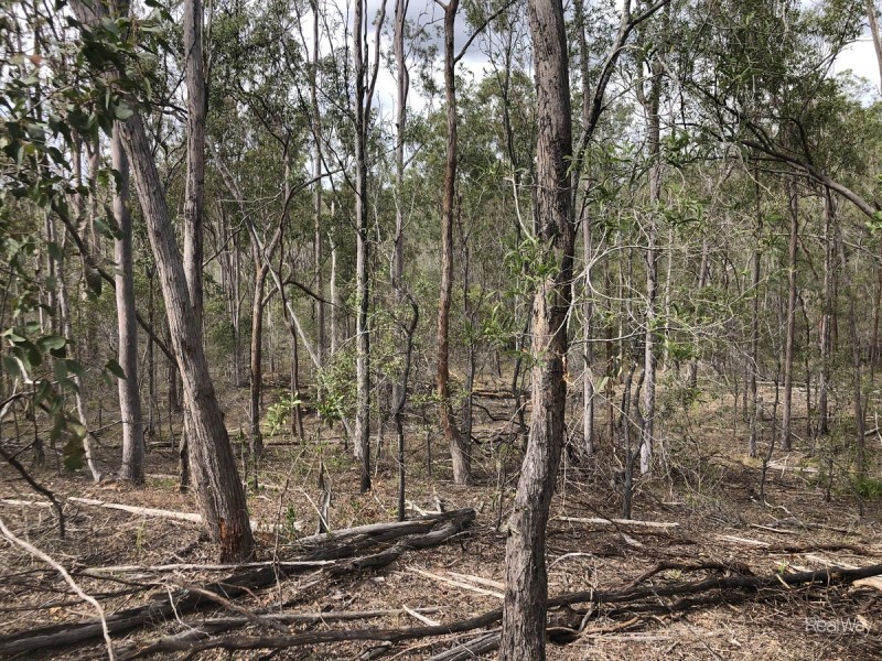 104 Short Cut Road, Delan QLD 4671