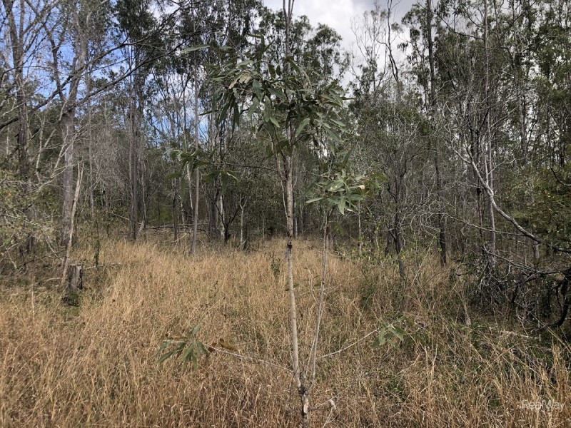 104 Short Cut Road, Delan QLD 4671