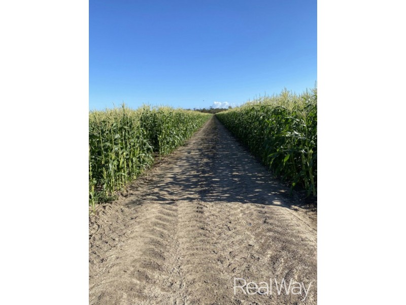 Lot 3 Honors Road, Alloway QLD 4670