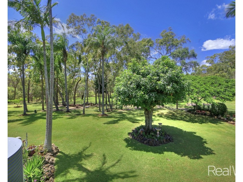31 Weir Road, South Kolan QLD 4670