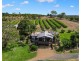 740 Pine Creek Road, Pine Creek QLD 4670