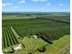 194 Woods East Road, Alloway QLD 4670