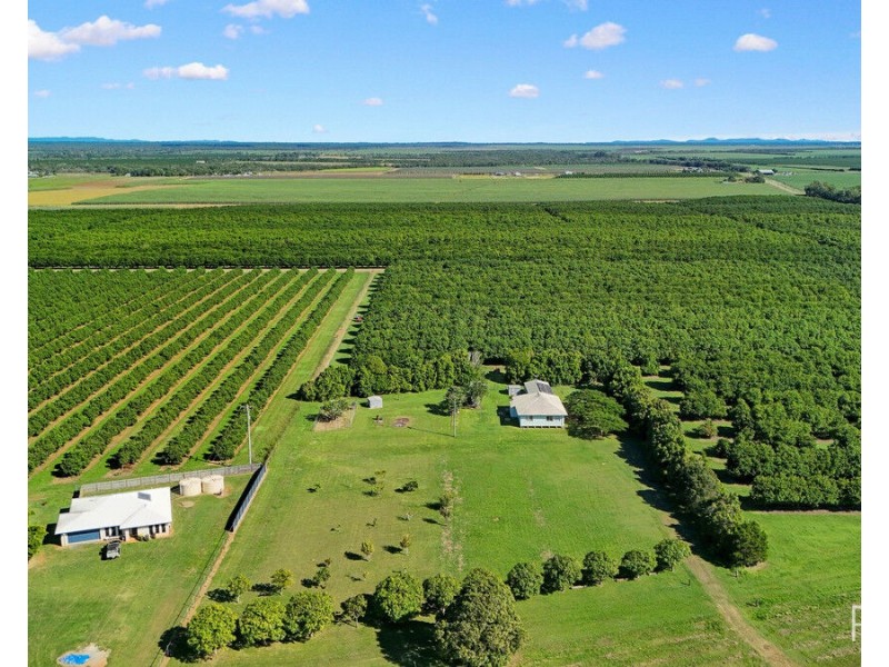 194 Woods East Road, Alloway QLD 4670