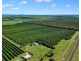 194 Woods East Road, Alloway QLD 4670